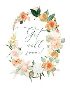 Indian Summer Getwellsoon